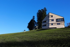 House-on-the-mountain-by-Juri-Troy-Architects-1