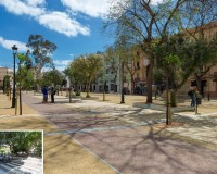 Vara De Rey Promenade And City Center Pedestrian Renovation  (3)